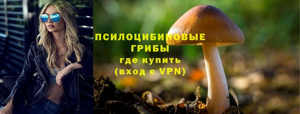 MDMA Краснослободск