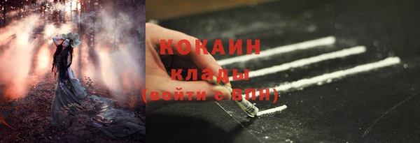 ПСИЛОЦИБИНОВЫЕ ГРИБЫ Кодинск