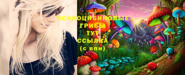 гидропоника Козельск