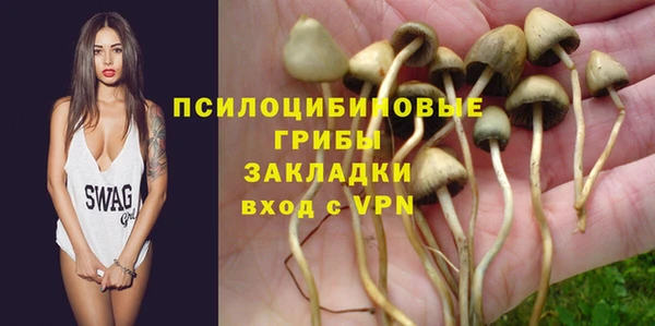 дмт Костерёво